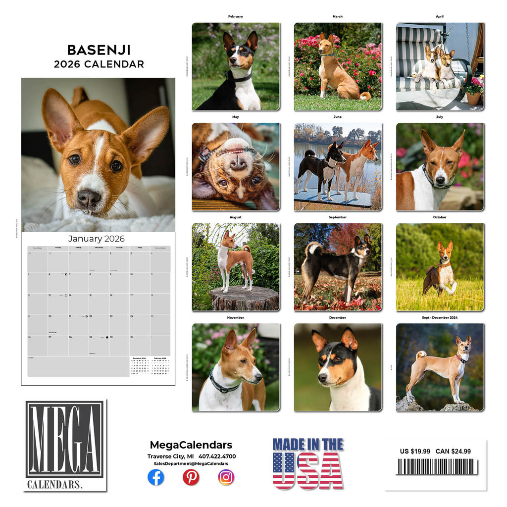Basenji Wall Calendar 2026
