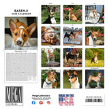 Basenji Wall Calendar 2026