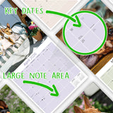 Basenji Wall Calendar 2026