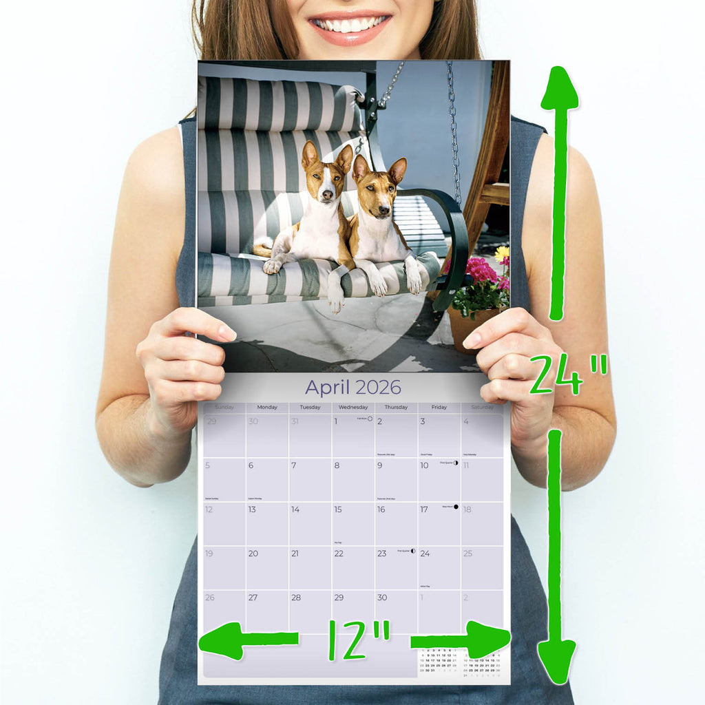 Basenji Wall Calendar 2026