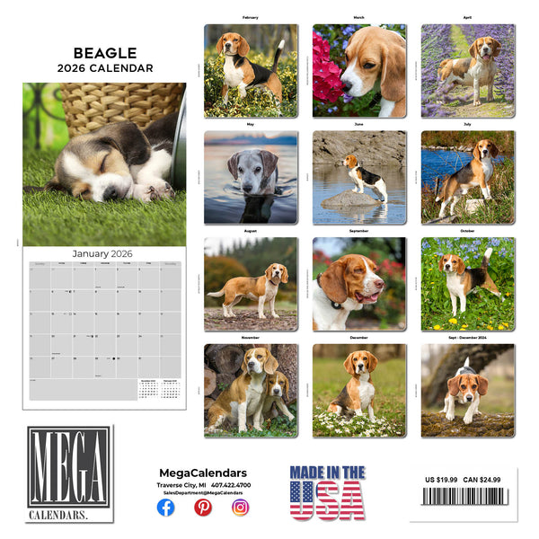 Baker And Bray Dalmatian Calendar 2025, Large Square Wall Calendar With - View #2