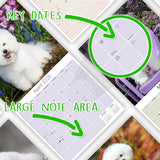 Bichon Frise Wall Calendar 2026
