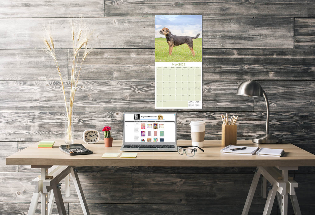 Border Terrier Wall Calendar 2026
