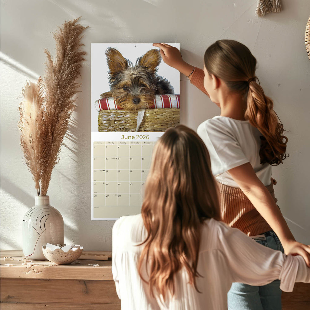 Yorkshire Terrier Puppies Calendar 2026