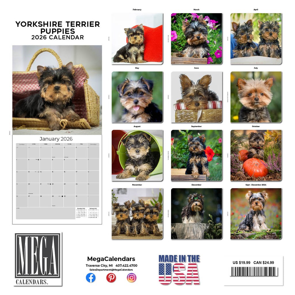 Yorkshire Terrier Puppies Calendar 2026