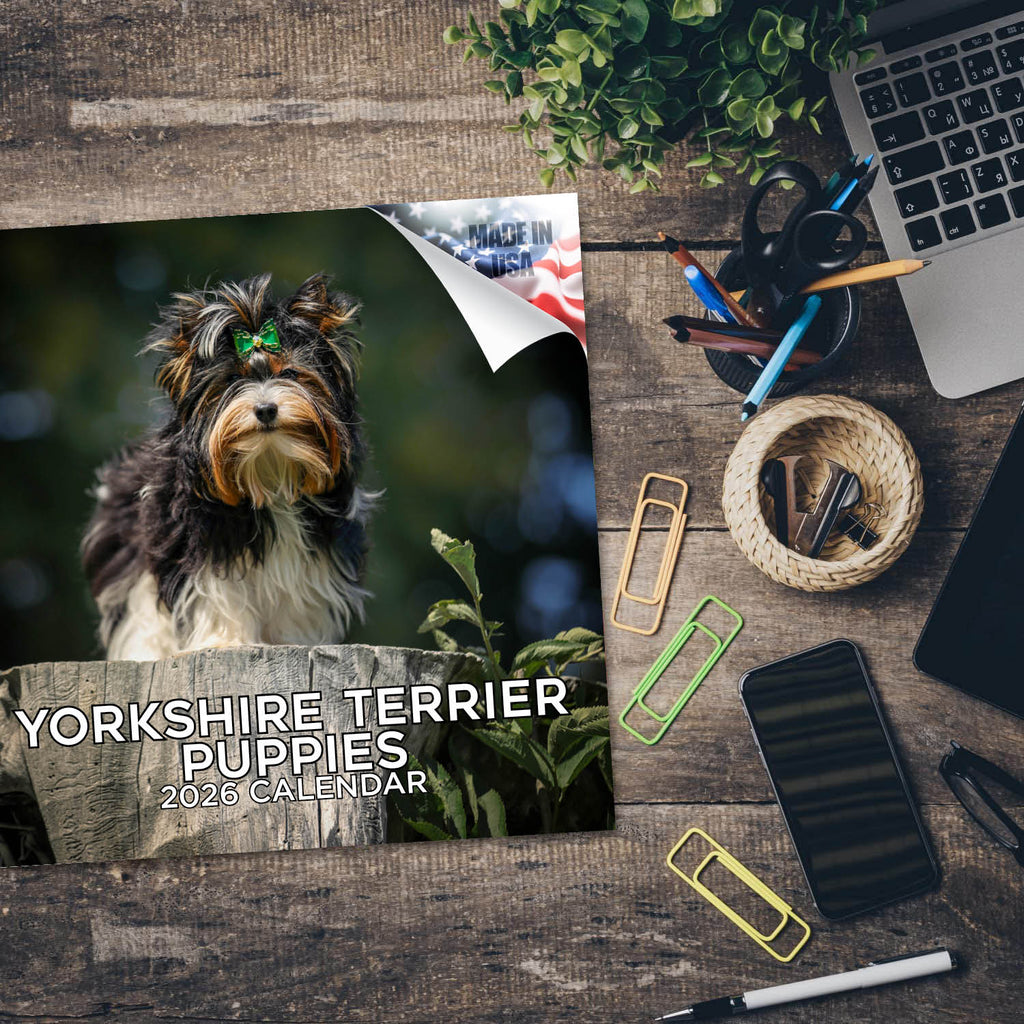 Yorkshire Terrier Puppies Calendar 2026
