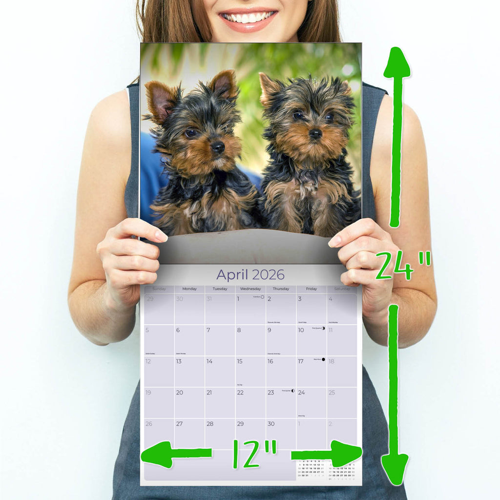 Yorkshire Terrier Puppies Calendar 2026