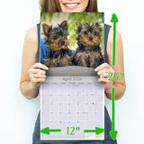 Yorkshire Terrier Puppies Calendar 2026