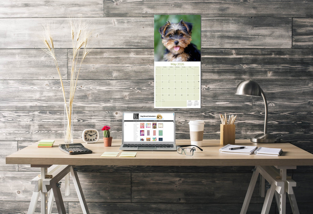 Yorkshire Terrier Puppies Calendar 2026