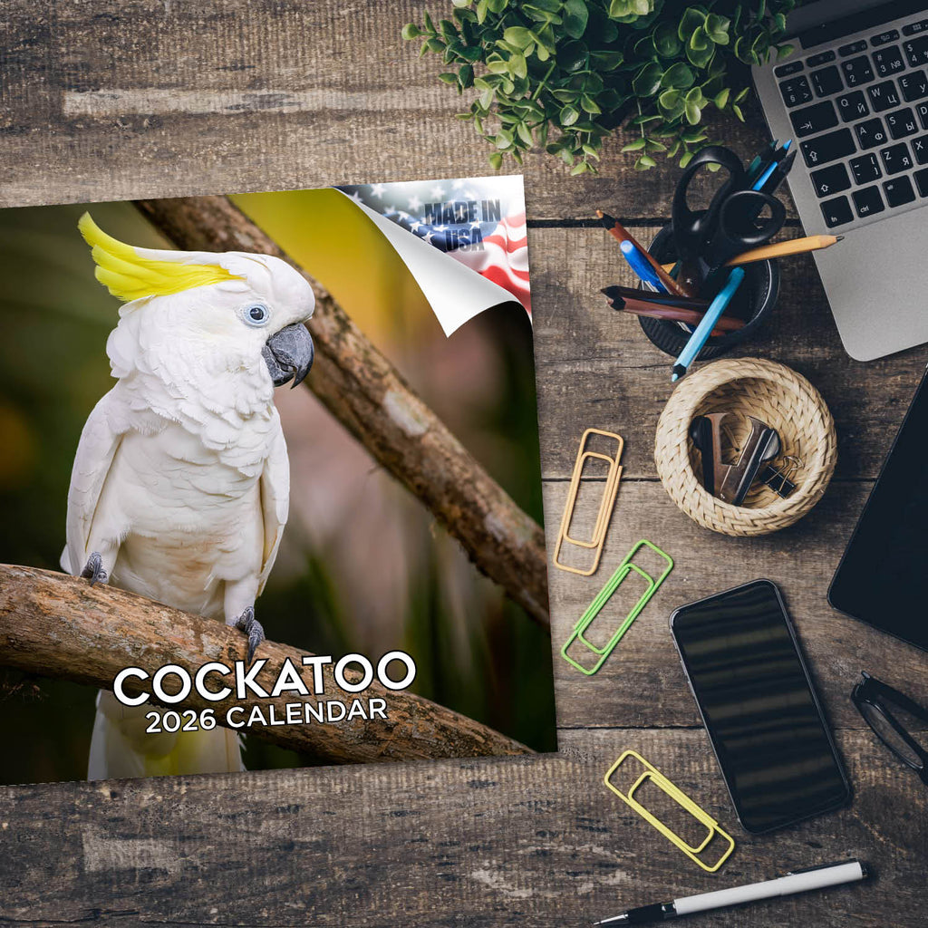 Cockatoos Wall Calendar 2026