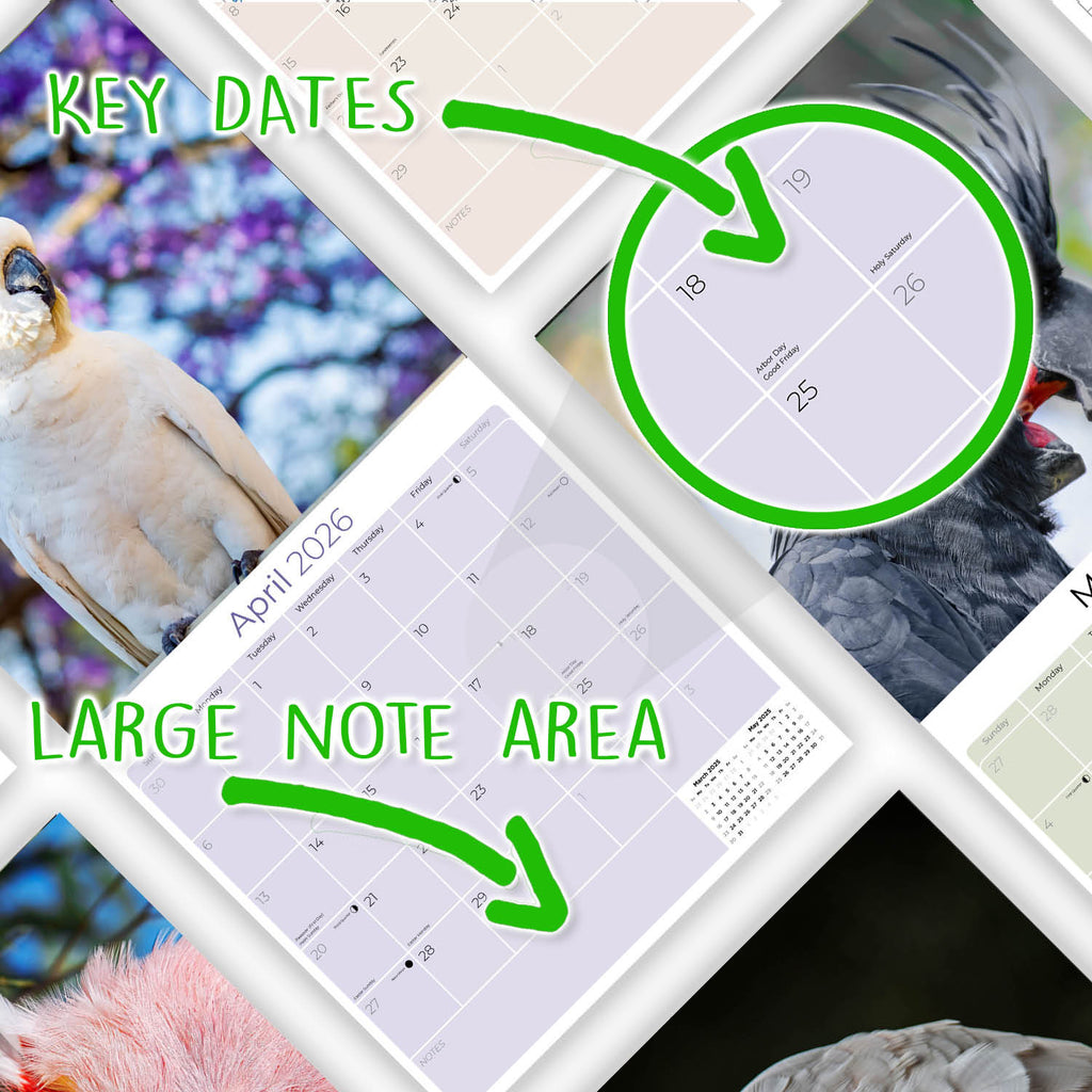 Cockatoos Wall Calendar 2026