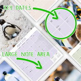 Penguins Calendar 2026