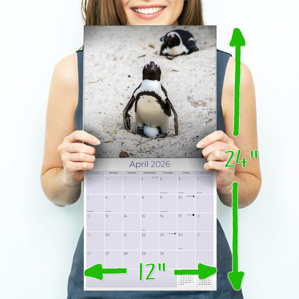 Penguins Calendar 2026