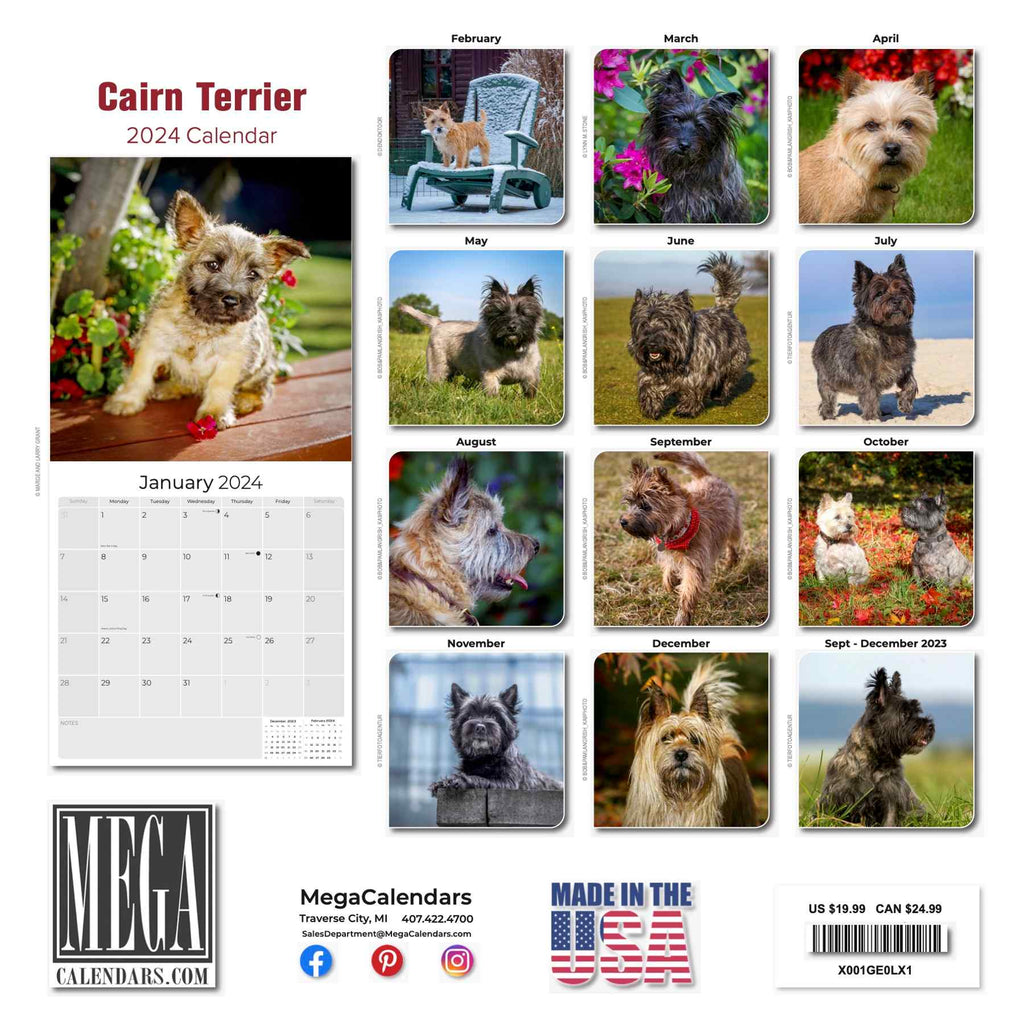 Cairn Terrier Wall Calendar 2024