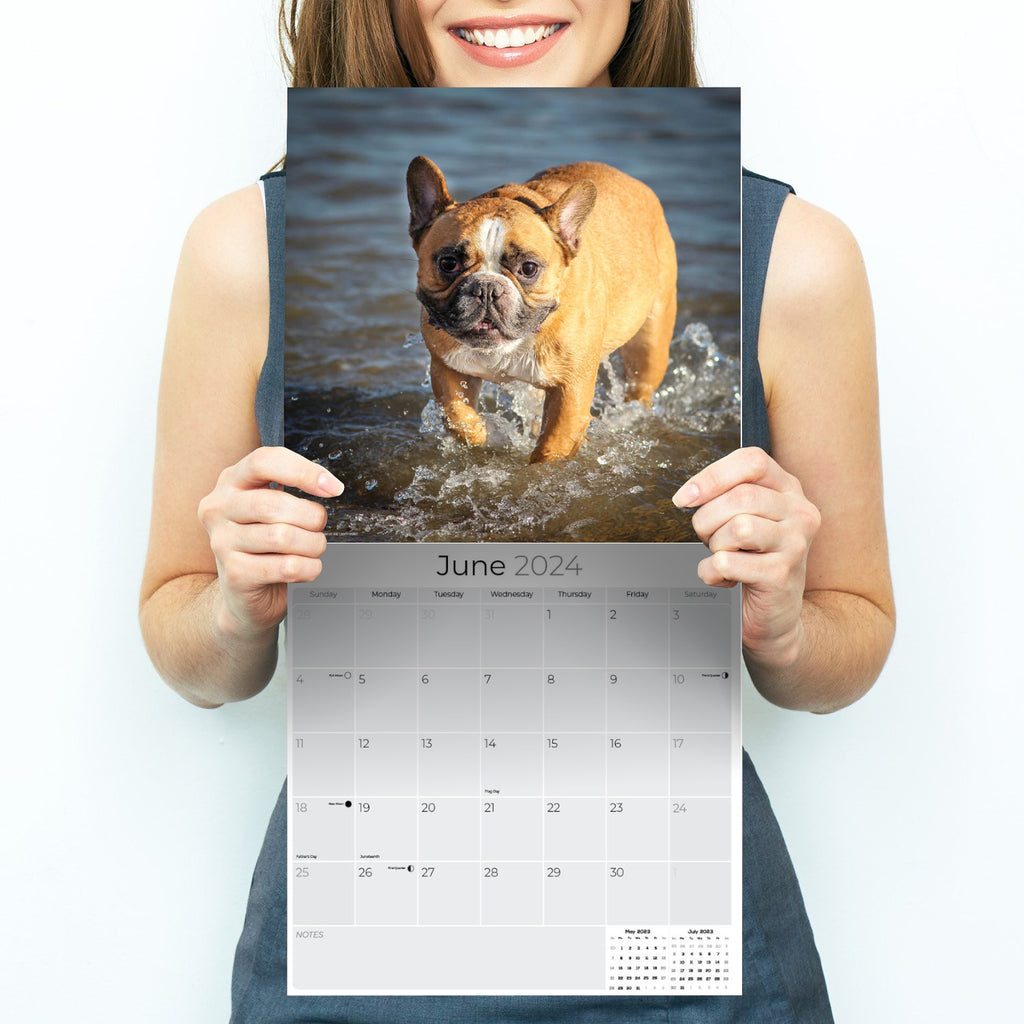 French Bulldog Wall Calendar 2024