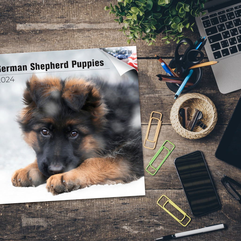 German Shepherd Puppies Wall Calendar 2024