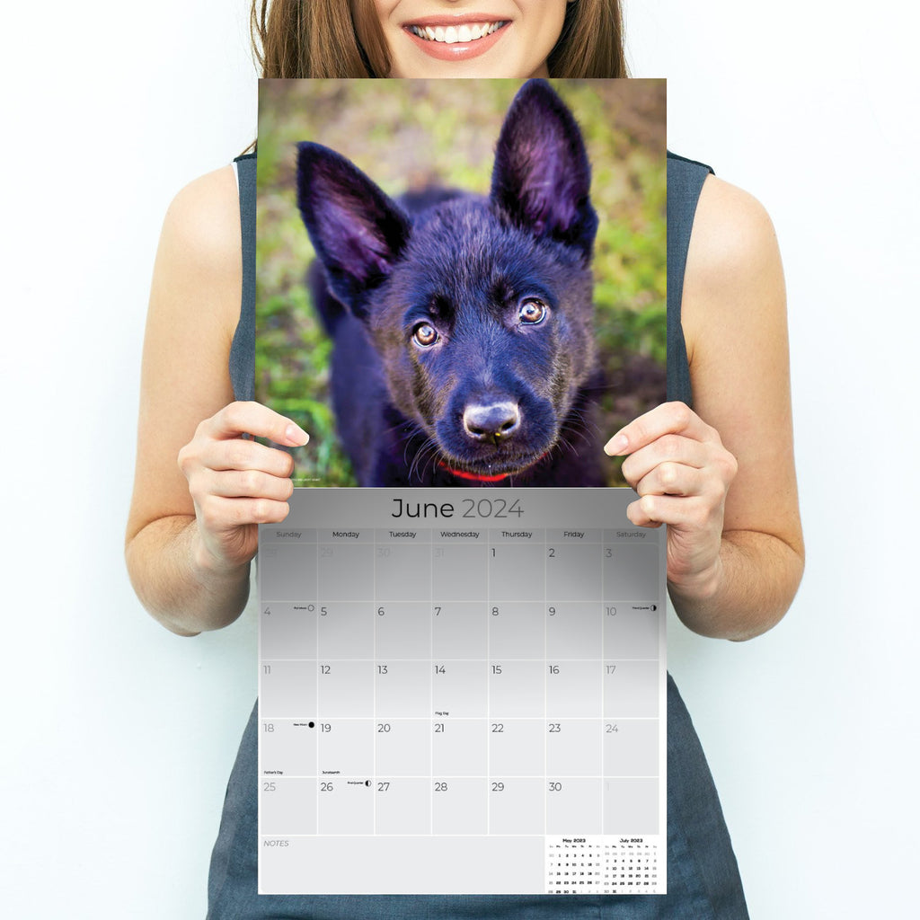 German Shepherd Puppies Wall Calendar 2024
