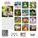 Labrador Ret (Yellow) Wall Calendar 2024