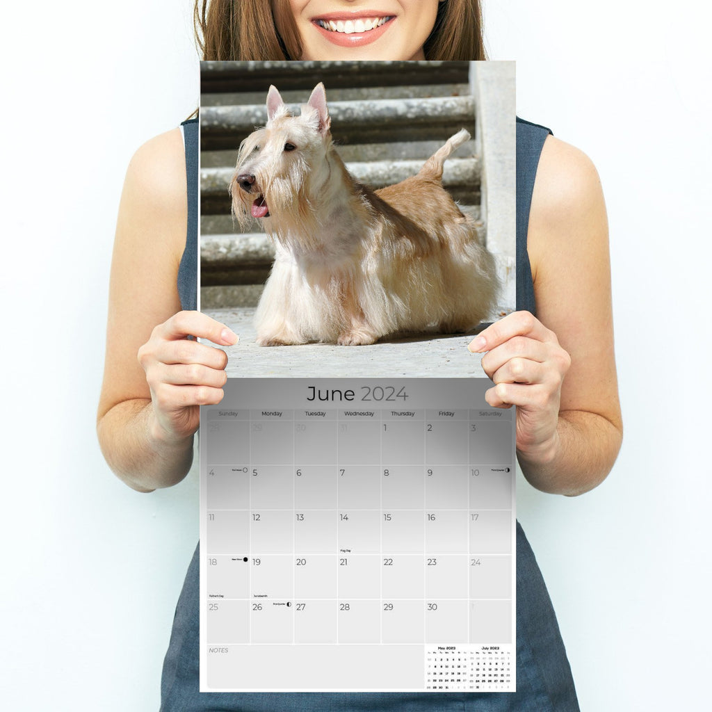 Scottish Terrier Wall Calendar 2024