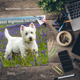 West Highland Terrier Wall Calendar 2024