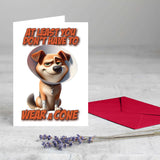 Get Well Soon - At Least You Don't Have to Wear a Cone Greeting Card