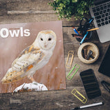 Owls Wall Calendar 2024