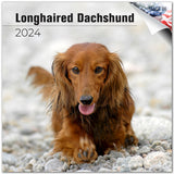Dachshund (Longhaired) Wall Calendar 2024