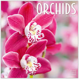 Orchids Wall Calendar 2024