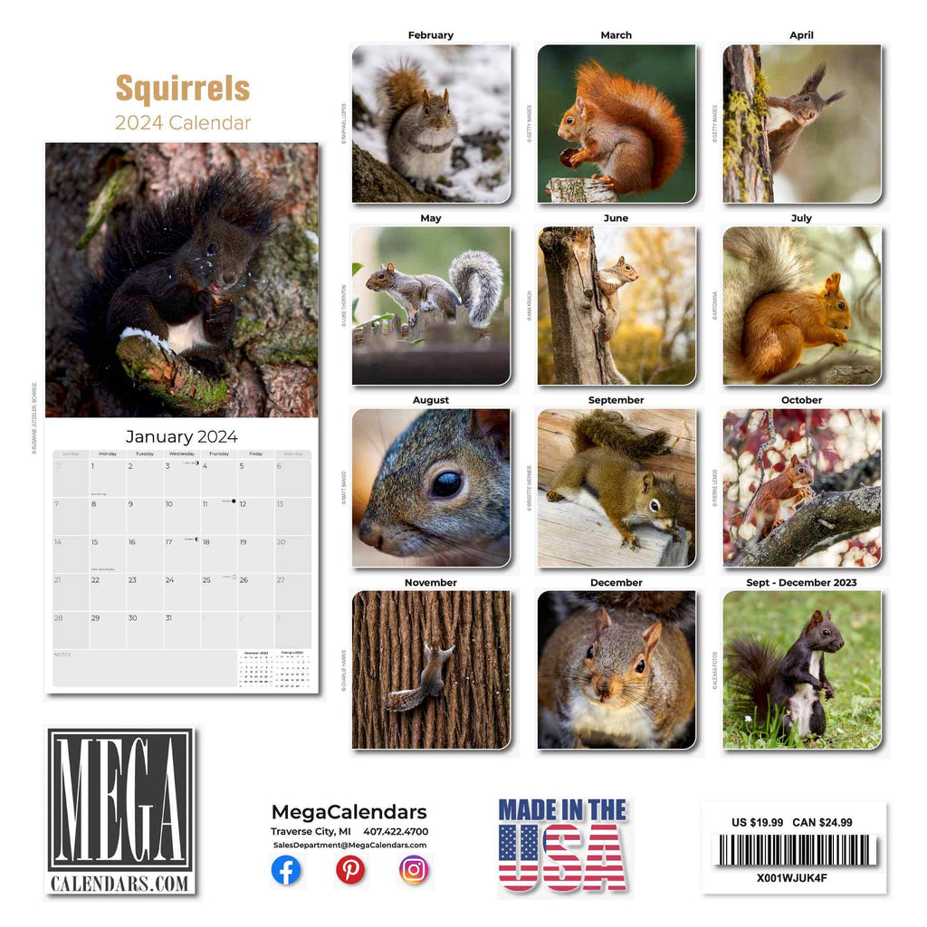 Squirrels Wall Calendar 2024