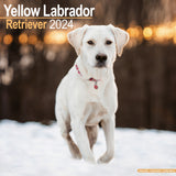 Yellow Labrador Calendar 2024 by Avonside