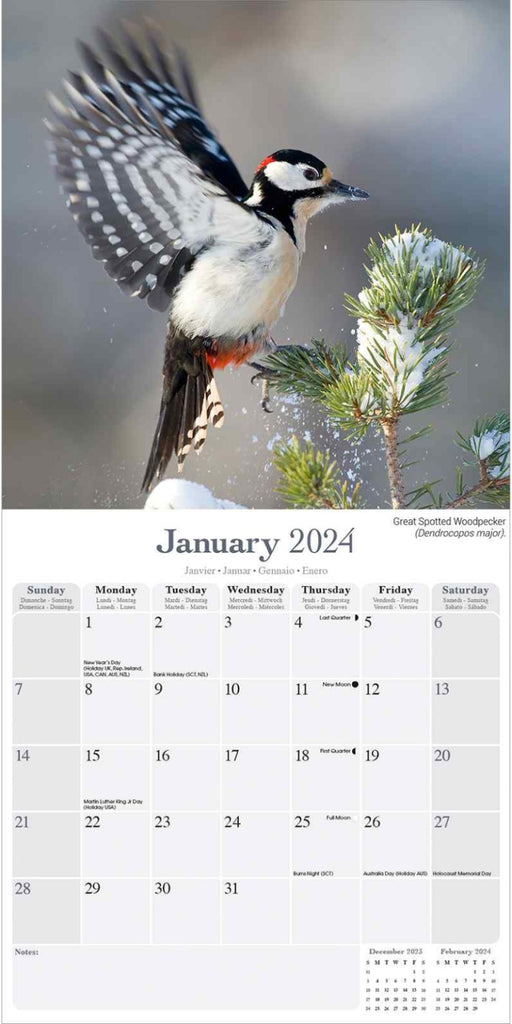 Garden Birds Wall Calendar 2024