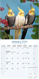 Cockatiels Wall Calendar 2024