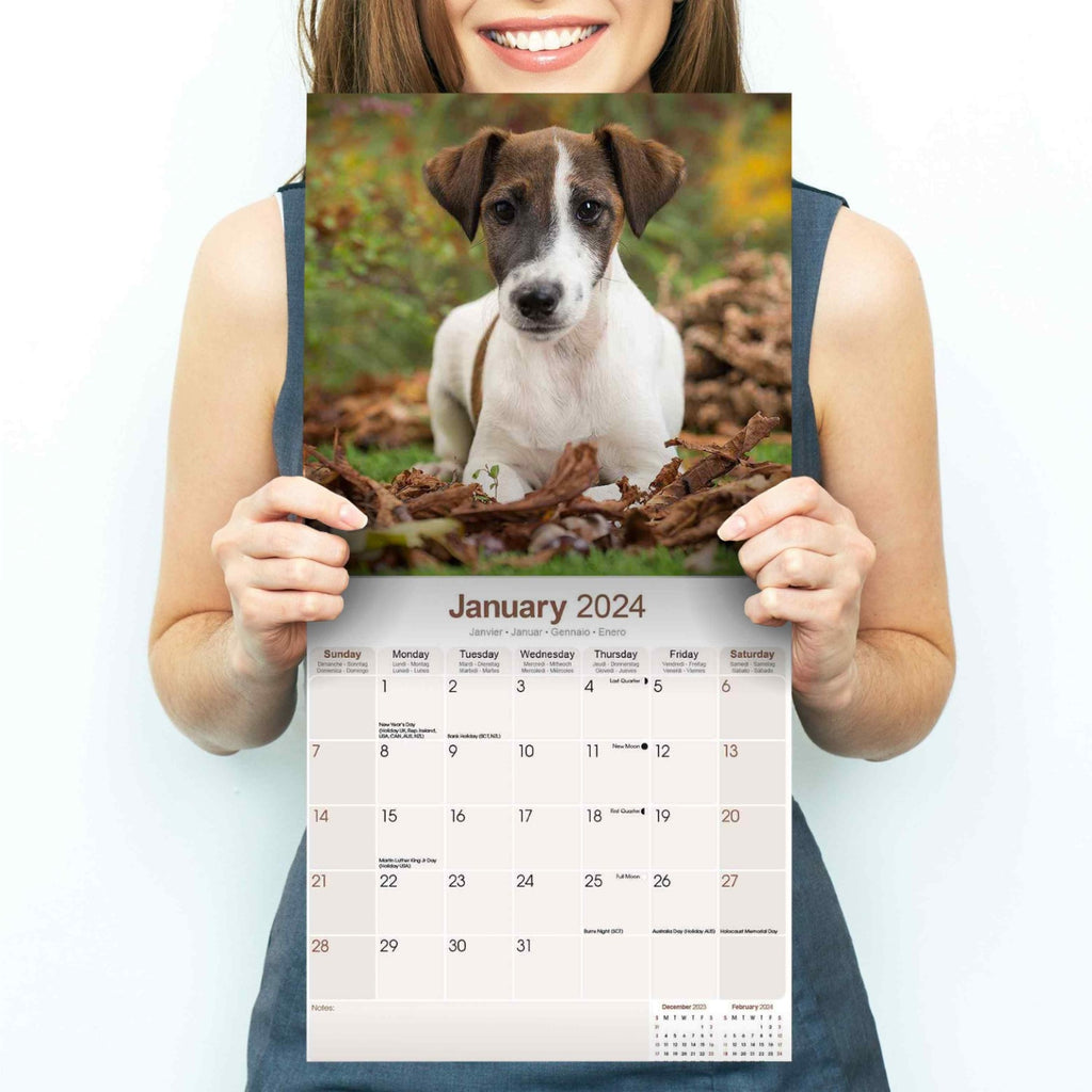Fox Terrier Wall Calendar 2024