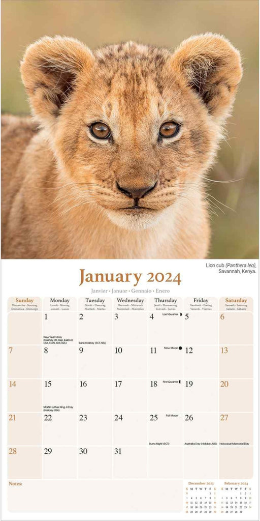 African Wildlife Wall Calendar 2024