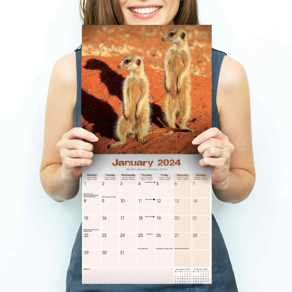 Meerkats Wall Calendar 2024