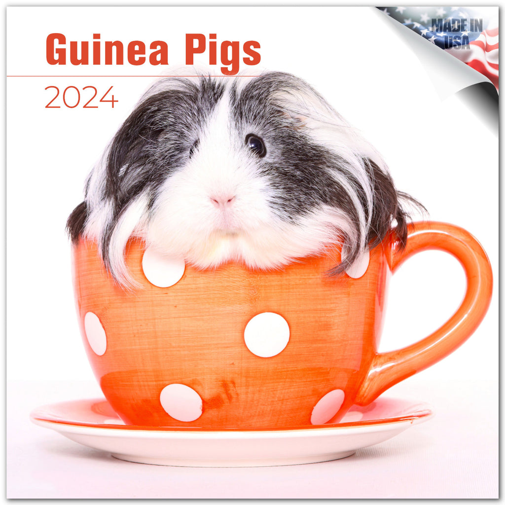 Guinea Pigs Wall Calendar 2024