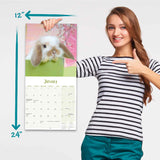 Lop-Eared Rabbits Calendar 2024 by Avonside
