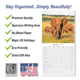 Elephants Wall Calendar 2024