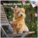 Norwich/Norfolk Terrier Wall Calendar 2024