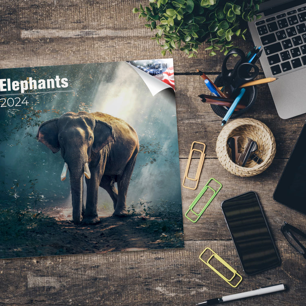 Elephants Wall Calendar 2024