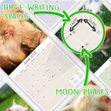 Pigs Wall Calendar 2025