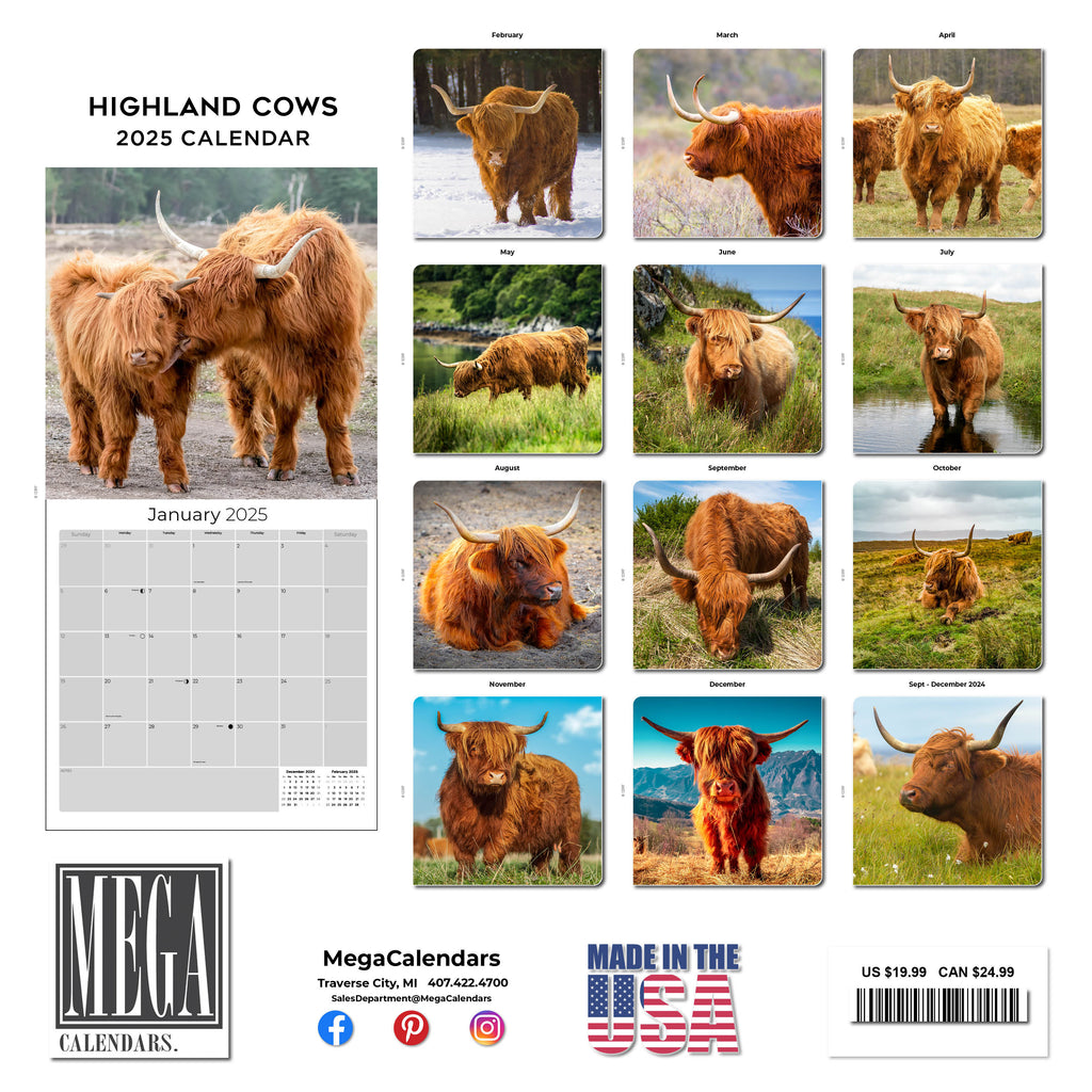 Highland Cows Calendar 2025