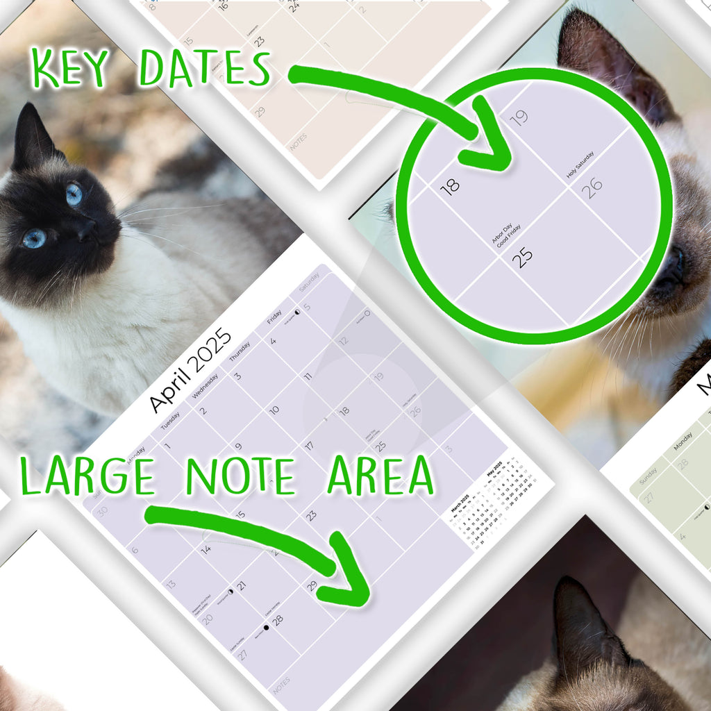 Cats - Siamese Wall Calendar 2025