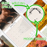Horses Wall Calendar 2025