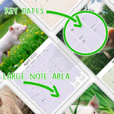Pigs Wall Calendar 2025