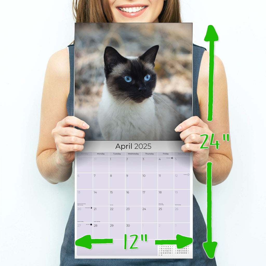 Cats - Siamese Wall Calendar 2025