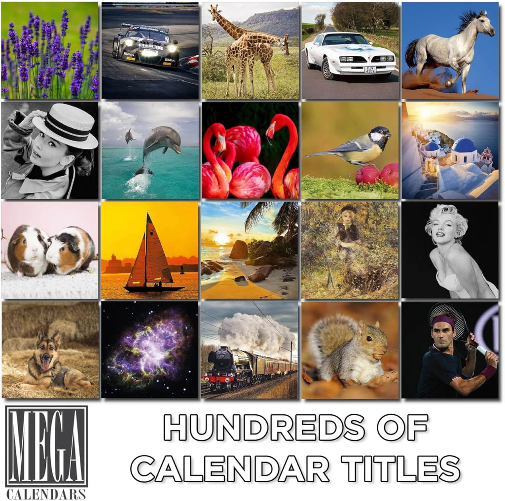 Happy Birthday - In Banana Years, You're Bread Greeting Card