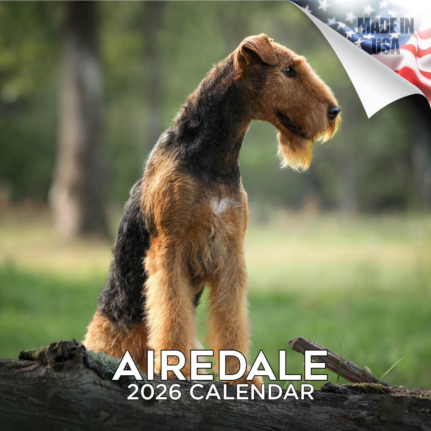 Airedale Wall Calendar 2026