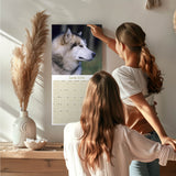 Alaskan Malamute Wall Calendar 2026