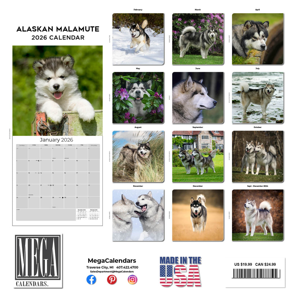 Alaskan Malamute Wall Calendar 2026